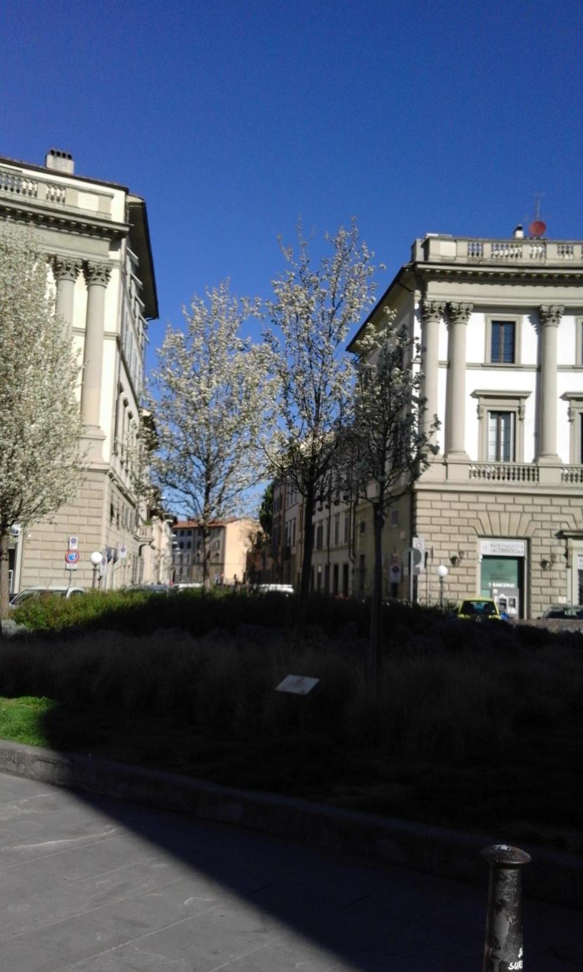 Appartamento Lovely, Downtown Florence, La Magnolia *